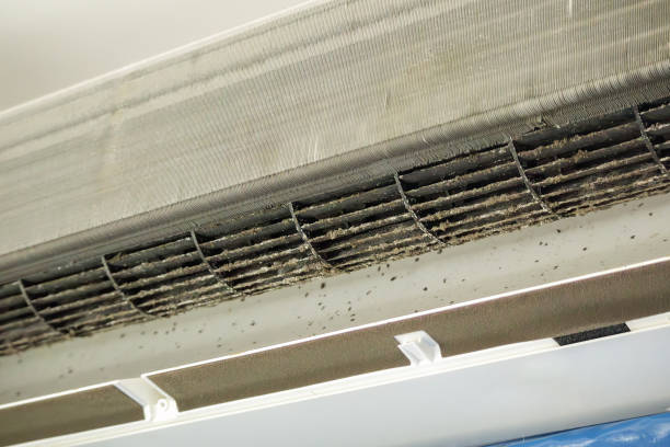 Best Ventilation Cleaning Services  in Spearman, TX